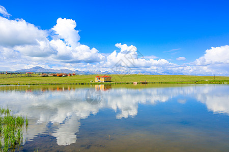 夏日康乐草原背景