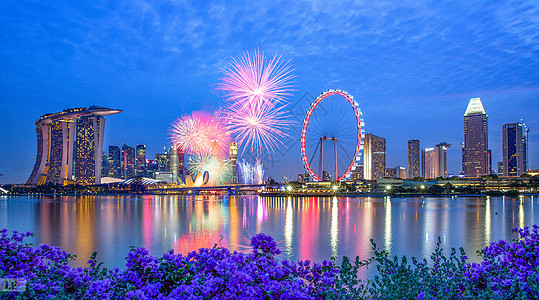 紫色城市新加坡滨海湾烟火背景