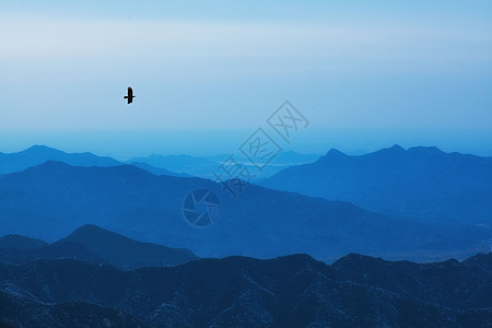 老鹰飞翔寂静山岭背景