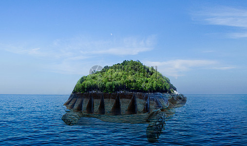 岛屿海龟岛设计图片