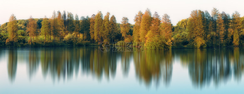 森林湖边倒影秋天湖边树林倒影背景