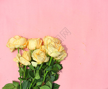 黄色大玫瑰背景图片