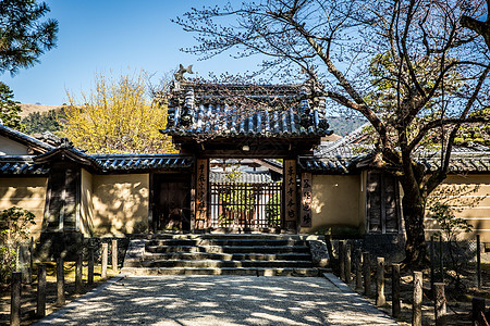 日本京都庭院高清图片