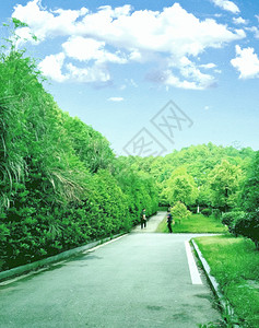 夏日萤火虫夏日风景背景