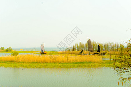 太湖帆船太湖国家湿地公园  帆船与湖畔背景