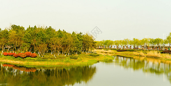 太湖国际会议中心  湖畔小岛背景图片