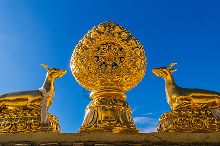 藏传佛松赞林寺金顶背景