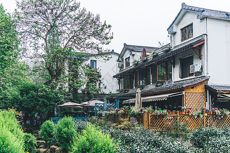 文艺背景杭州青芝坞民宿区背景