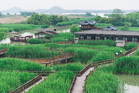 德清莫干山德清下渚湖湿地背景