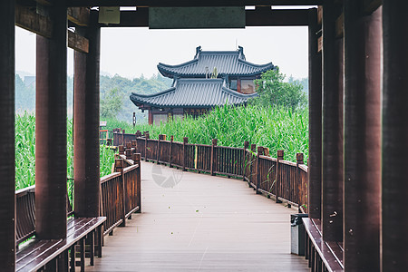 德清莫干山德清下渚湖湿地背景