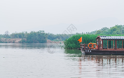 生态公园德清下渚湖湿地背景