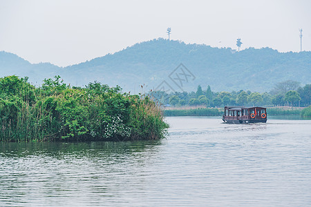 海珠湖湿地公园德清下渚湖湿地背景