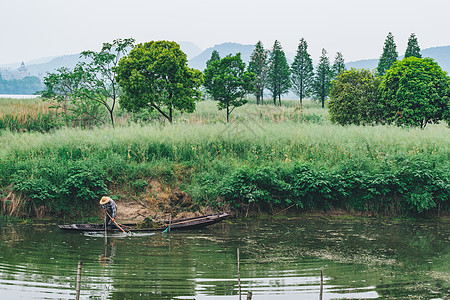 生态公园德清下渚湖湿地背景