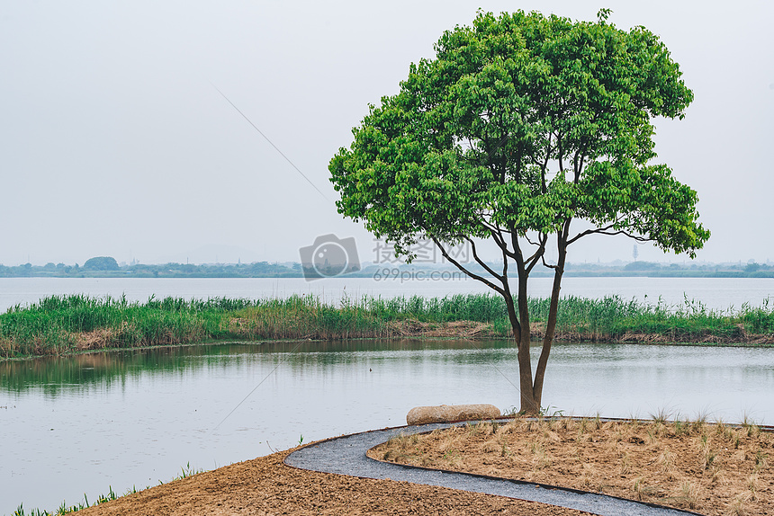 德清下渚湖湿地图片