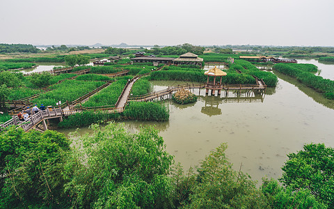 德清下渚湖湿地图片