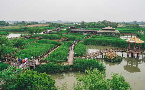 德清下渚湖湿地背景