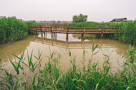 德清下渚湖湿地图片