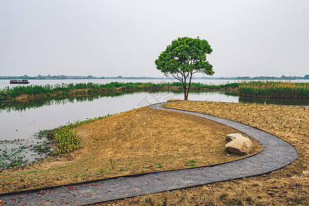 德清下渚湖湿地图片