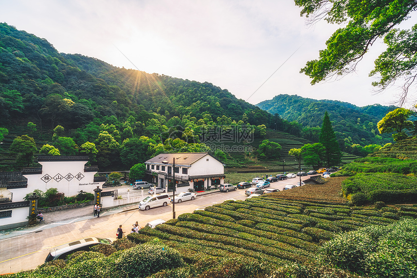 梅家坞茶园图片