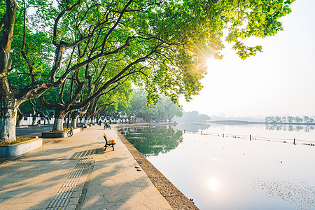 斯里兰卡风景杭州西湖清晨背景