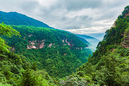 夏天雨后的山林图片