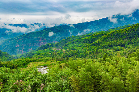 林间别墅山林间的别墅背景