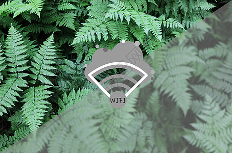 wifi树叶标识高清图片