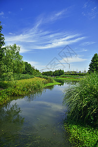 阳明滩大桥后滩公园背景