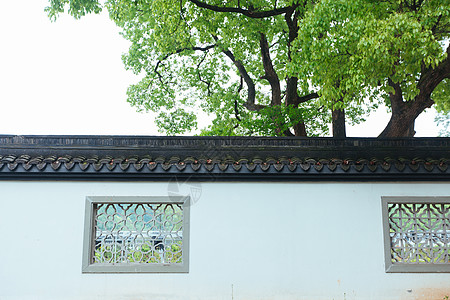 杭州断桥杭州植物园外墙背景
