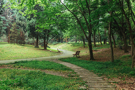 植物园休闲绿色风景图片