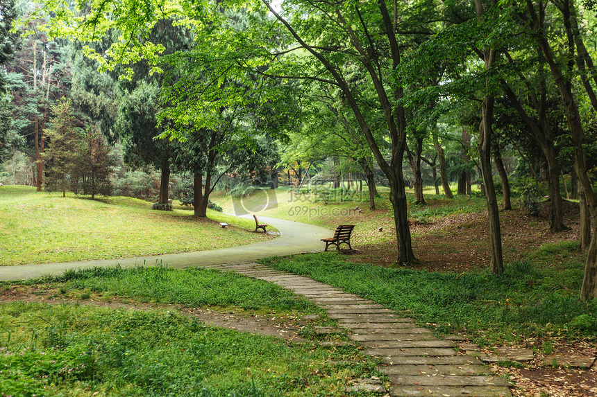 植物园休闲绿色风景图片