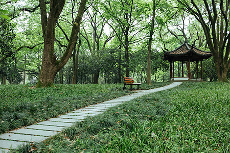 植物园休闲绿色风景图片