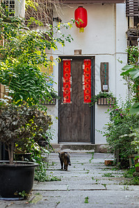 古镇风景杭州小河直街上古朴的门背景