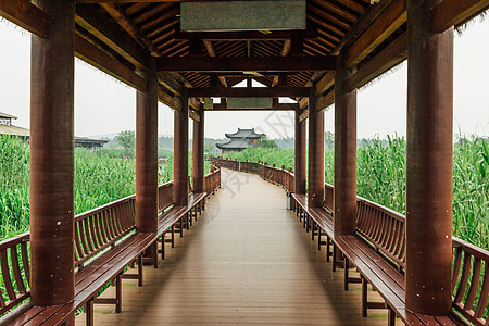 生态公园德清下渚湖湿地背景