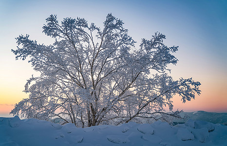 雪乡行牡丹江市高清图片