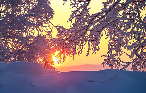 雪乡行牡丹江市高清图片