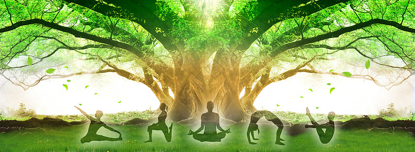 长生树与健康运动高清图片