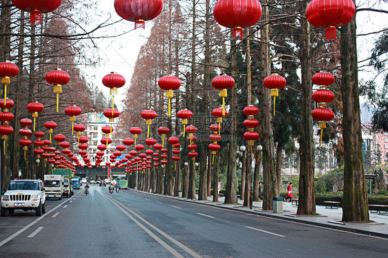 杉树 蓝天 红灯笼图片