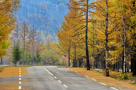 秋天的公路内蒙古呼伦贝尔背景