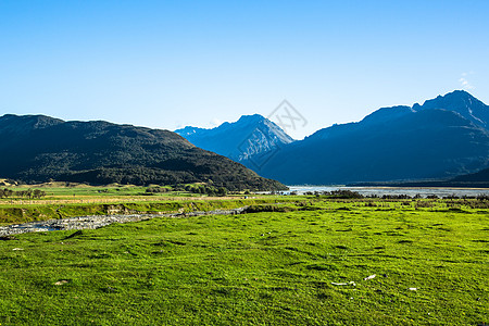 草地背景新西兰南岛草原背景