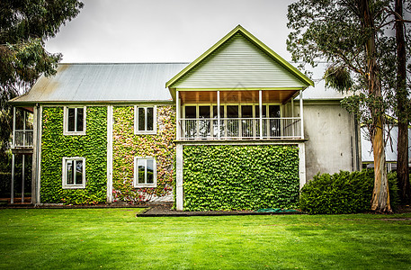 新西兰房子新西兰葡萄酒庄的建筑背景