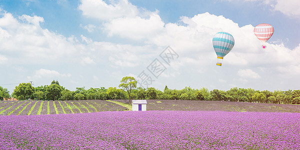 花海热气球节日banner背景设计图片