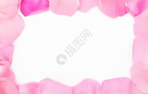 白底粉色红色玫瑰花瓣边框高清图片