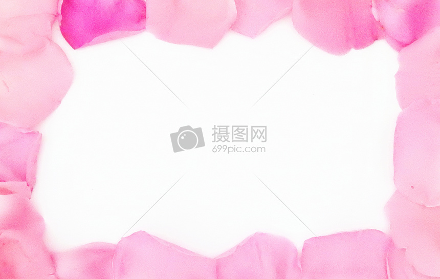 白底粉色红色玫瑰花瓣边框摄影图片免费下载_