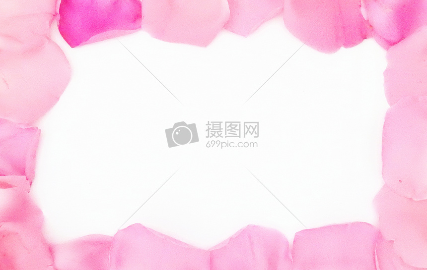 白底粉色红色玫瑰花瓣边框摄影图片免费下载_