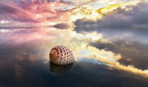 海螺壳天空之境中的云和海螺背景