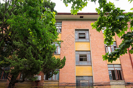 马卡：C罗无需世界杯证明什么 他已是传奇 但若夺冠他将无人能及