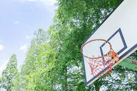 茂盛大树校园大学篮球架篮框背景
