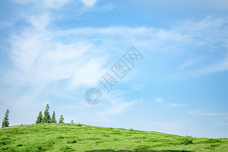 蓝天下的草坪图片