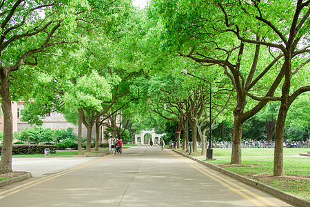 感恩老师校园东吴大学大门正门背景